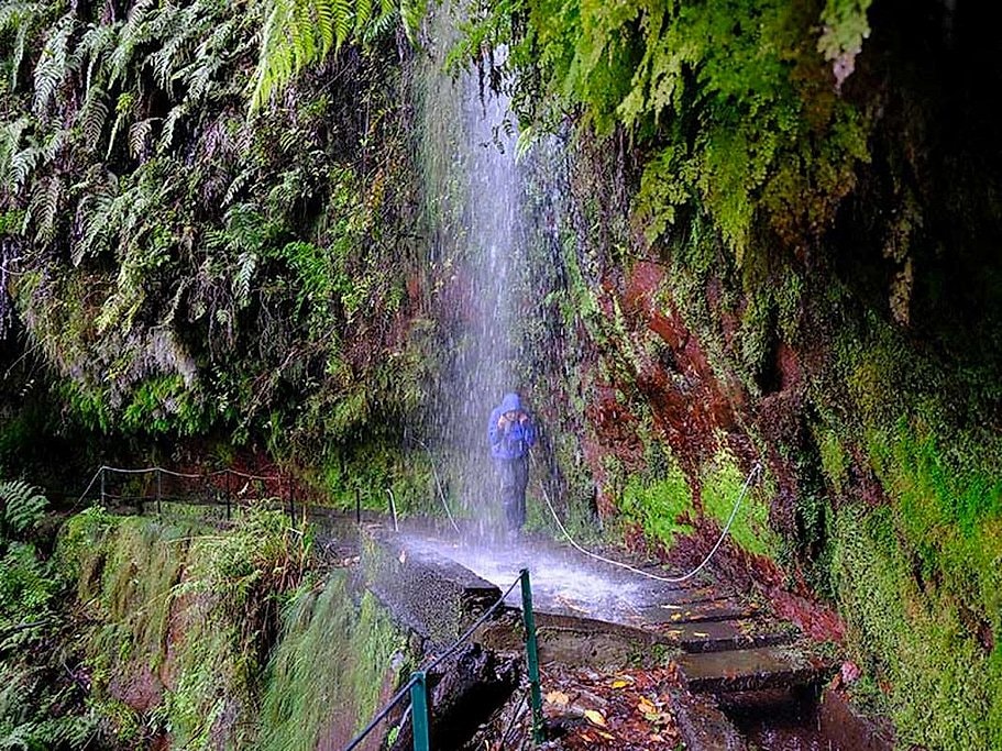 Levada do Rei Full Day Hike in Madeira
