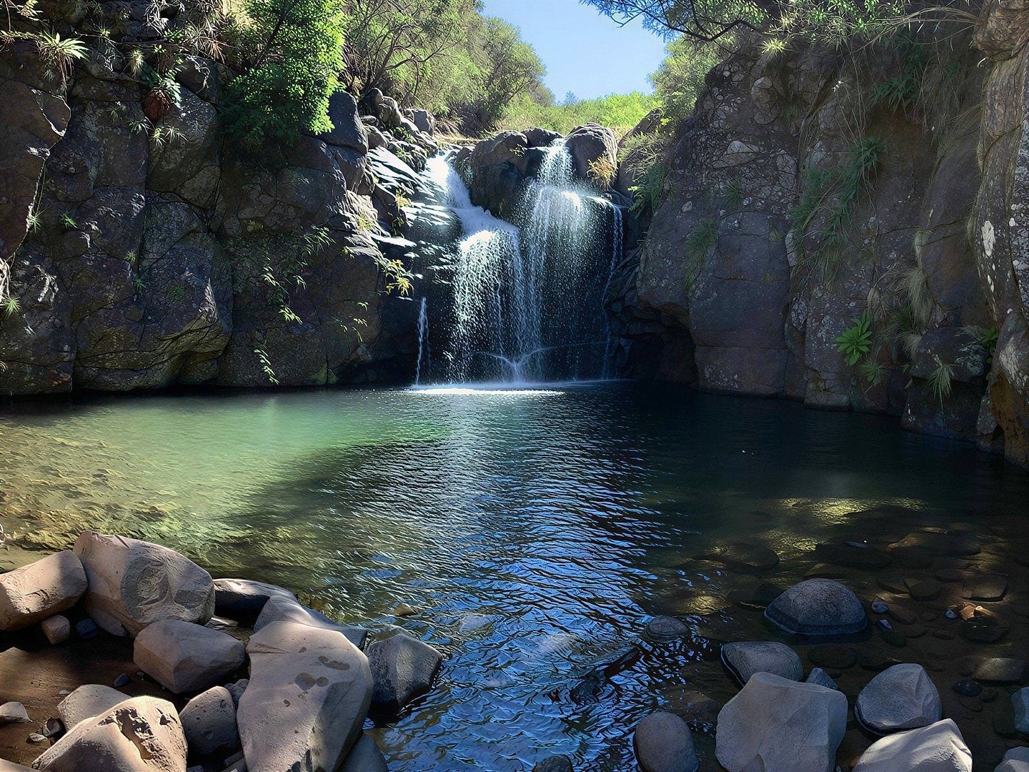 Levada do Alecrim Madeira Full-Day Guided Hike