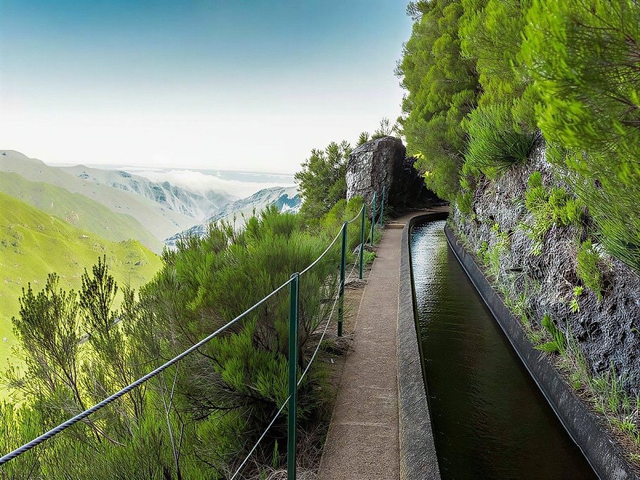 Levada do Alecrim Madeira Full-Day Guided Hike