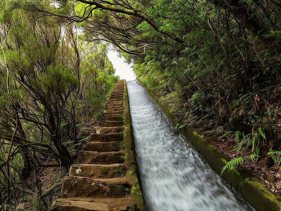 Levada do Alecrim Madeira Full-Day Guided Hike