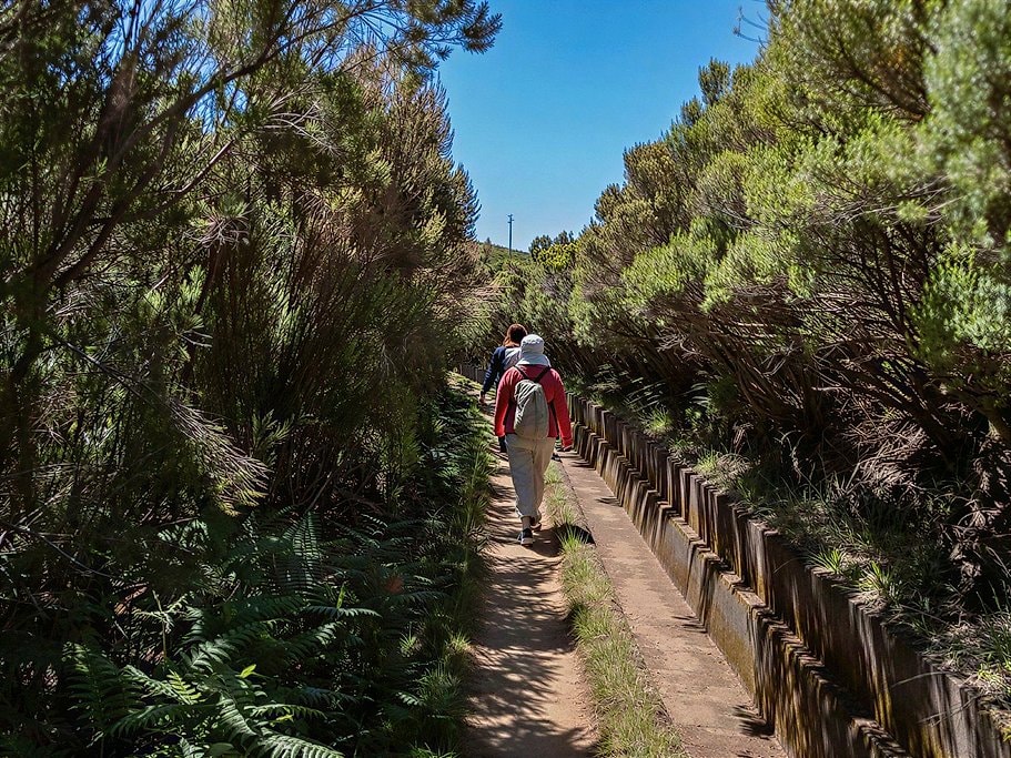 Levada do Alecrim Madeira Full-Day Guided Hike