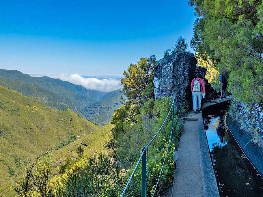 Levada do Alecrim Madeira Full-Day Guided Hike