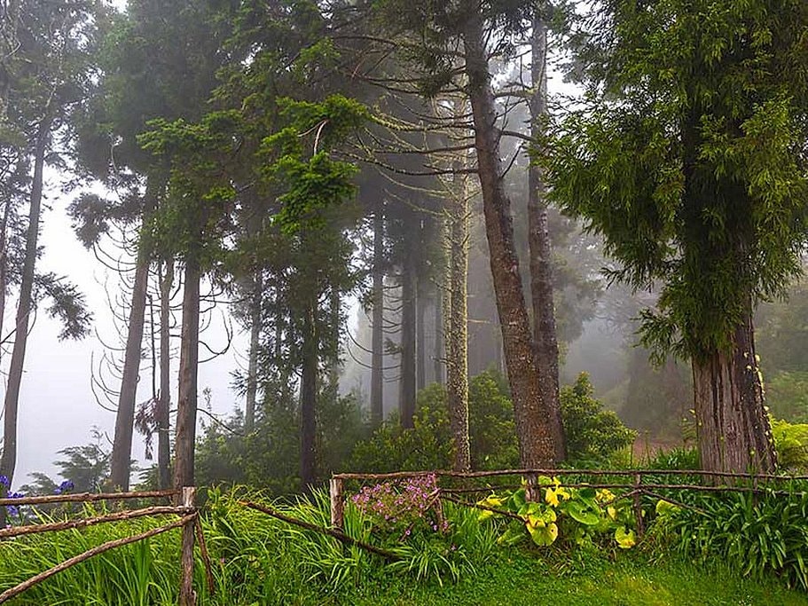Ribeiro Frio to Portela Full Day Hike