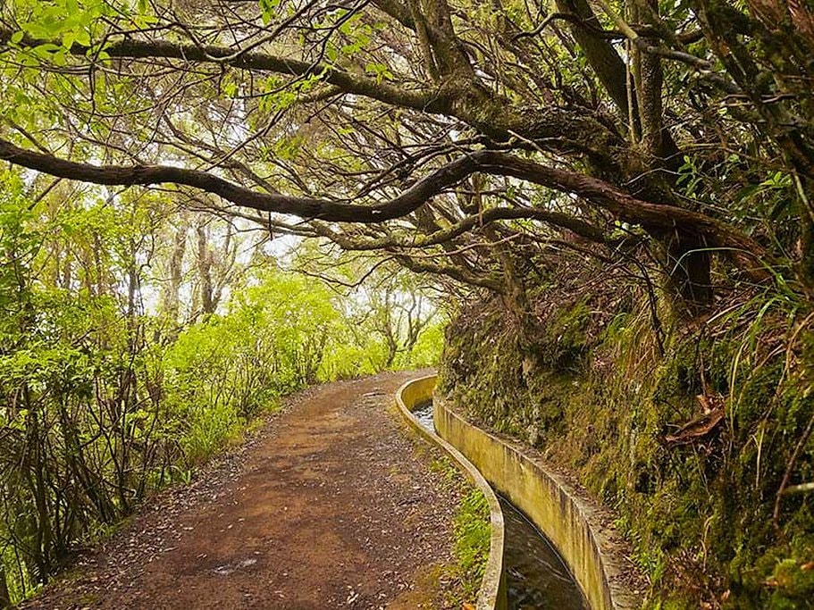 Ribeiro Frio to Portela Full Day Hike