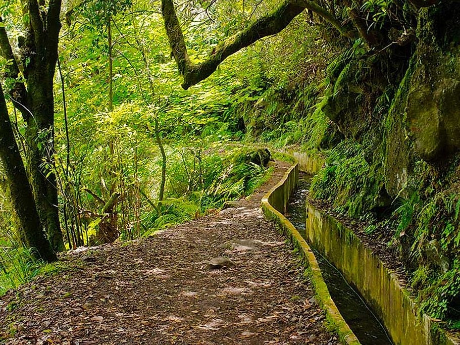 Ribeiro Frio to Portela Full Day Hike