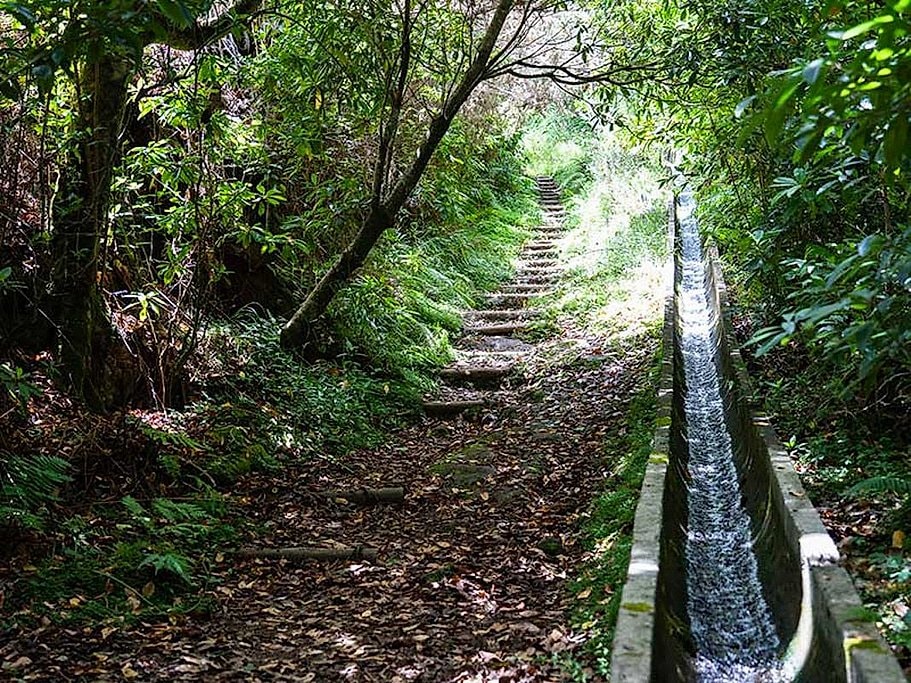 Ribeiro Frio to Portela Full Day Hike
