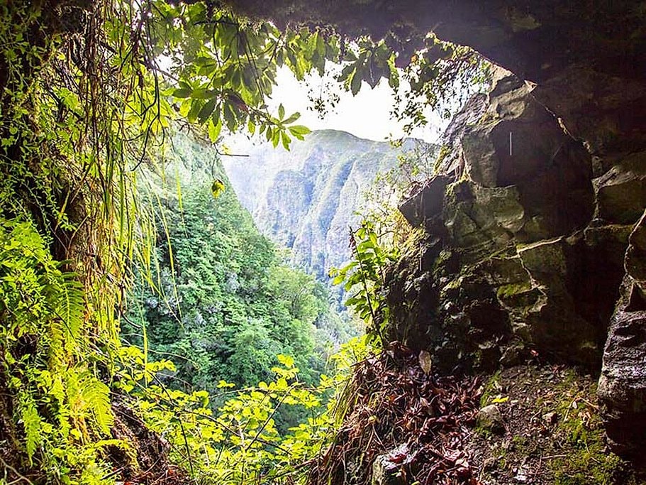 Queimadas Caldeirão Verde Full-Day Hike Madeira