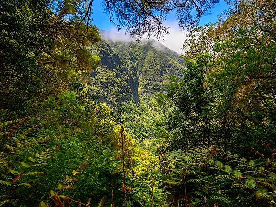 Queimadas Caldeirão Verde Full-Day Hike Madeira