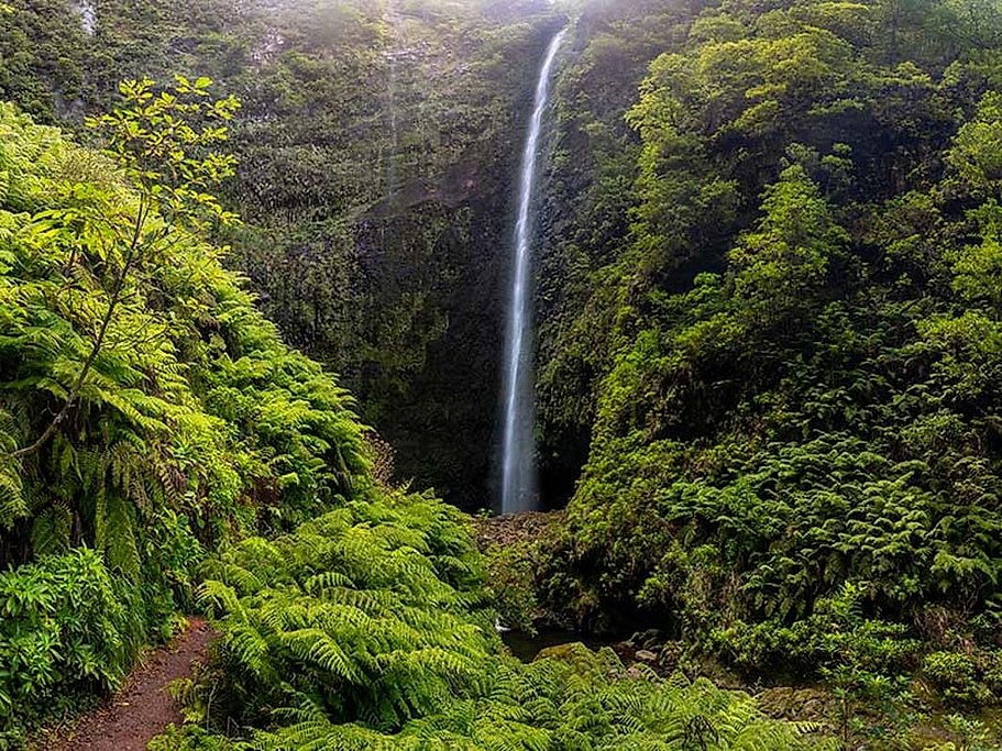 Queimadas Caldeirão Verde Full-Day Hike Madeira