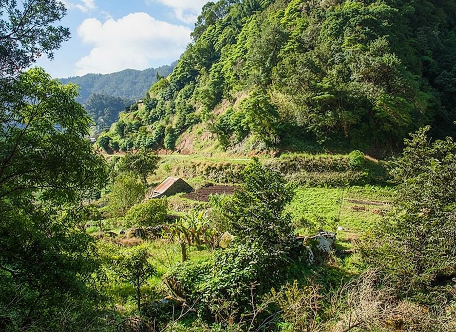 Madeira Levada Nova Guided Hike