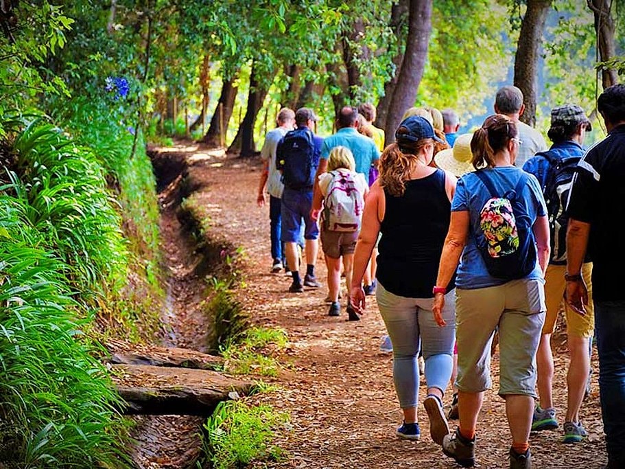 Paradise Valley Walk in Madeira