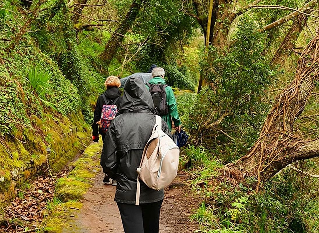 Paradise Valley Walk in Madeira