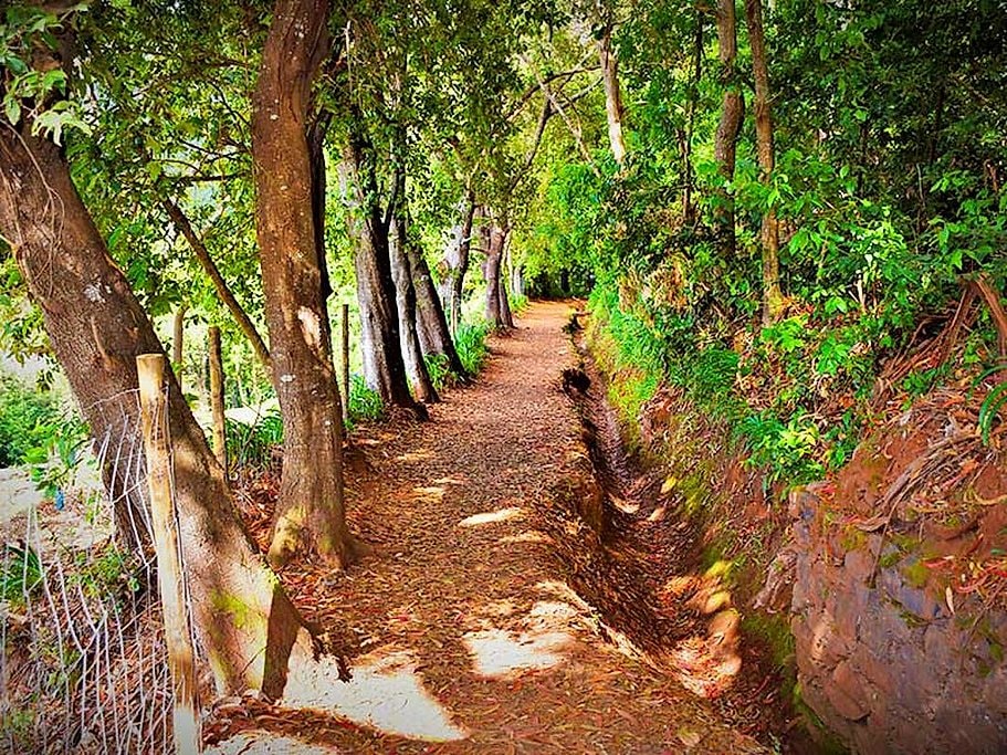 Paradise Valley Walk in Madeira