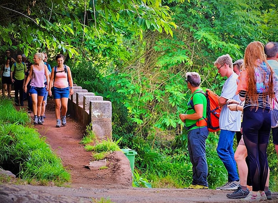 Paradise Valley Walk in Madeira