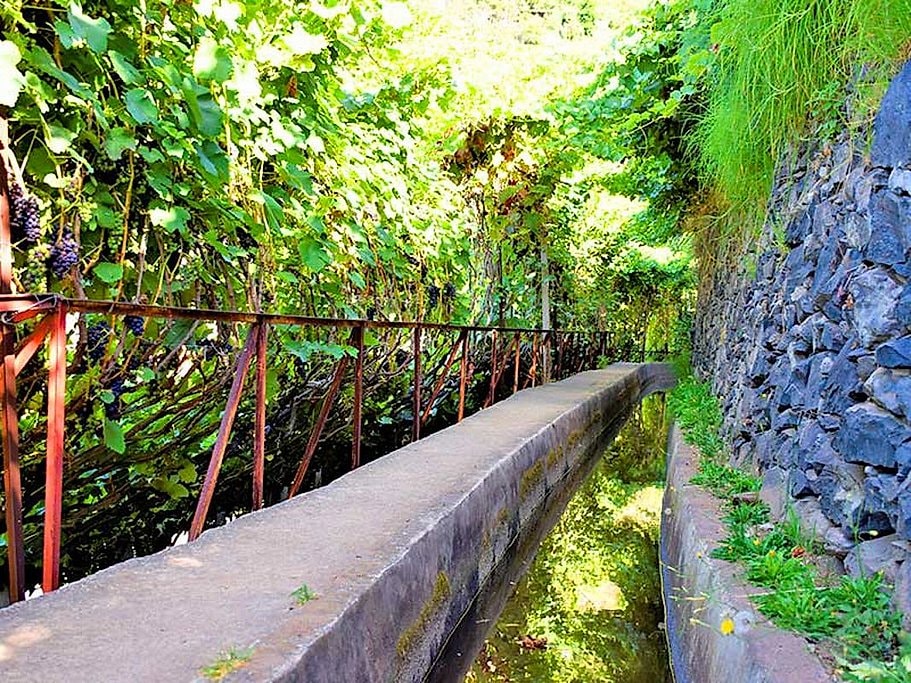 Levada do Estreito Wine Walk in Madeira