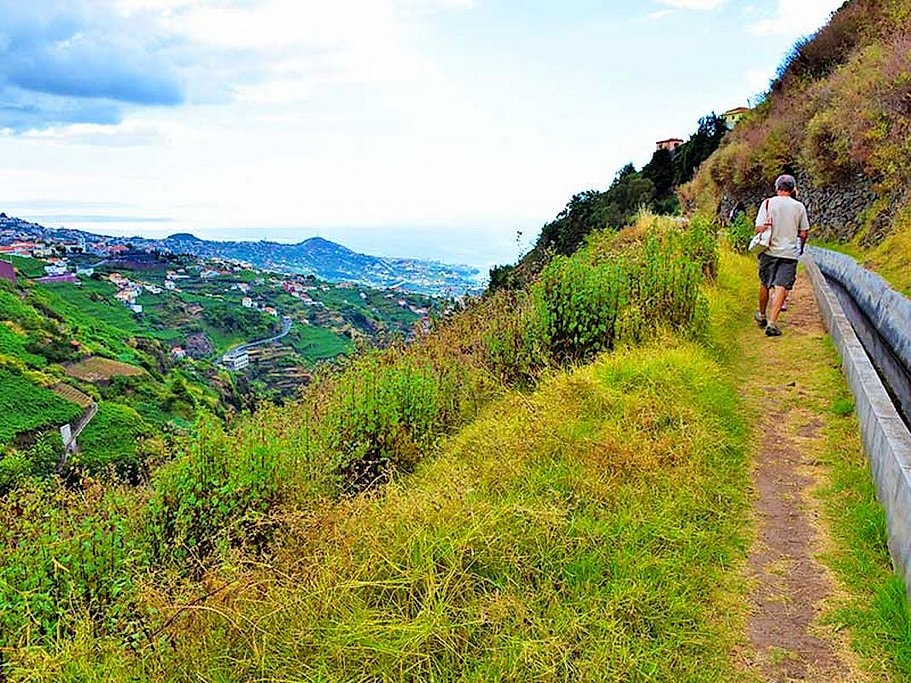 Levada do Estreito Wine Walk in Madeira