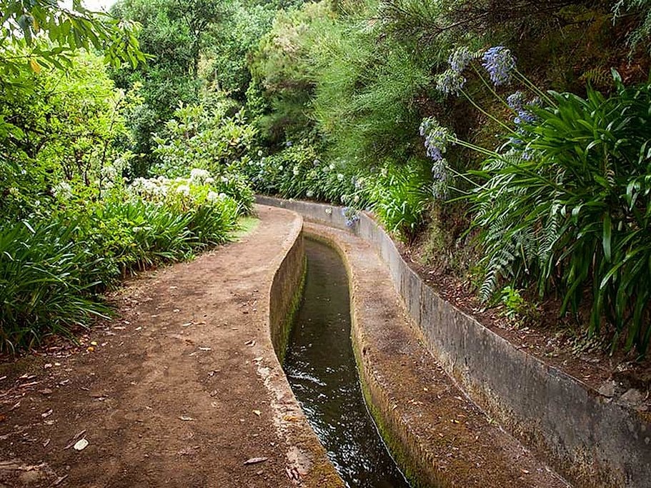 Vale da Serra d’Água Half Day Walk Madeira