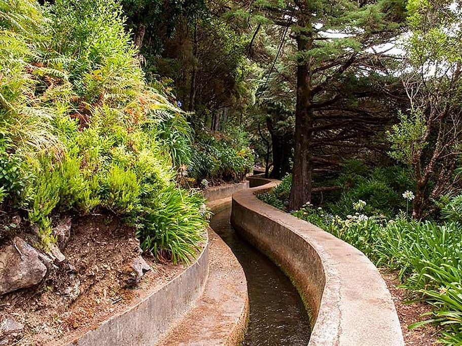 Vale da Serra d’Água Half Day Walk Madeira
