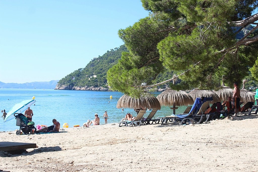 Formentor and Pollensa Tour from Palma