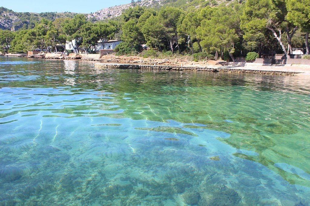 Formentor and Pollensa Tour from Palma
