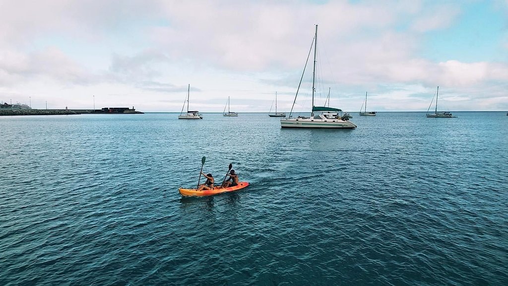 Desertas Islands Private Full-Day Catamaran Trip Madeira
