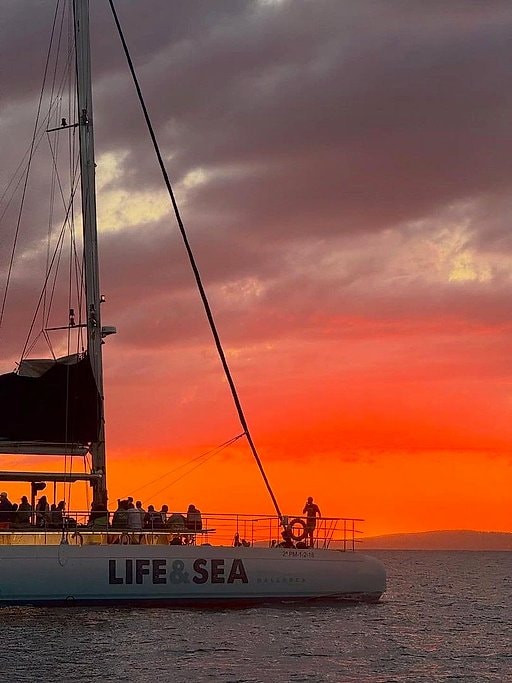 Catamaran Sunset Tour with BBQ in S'Arenal