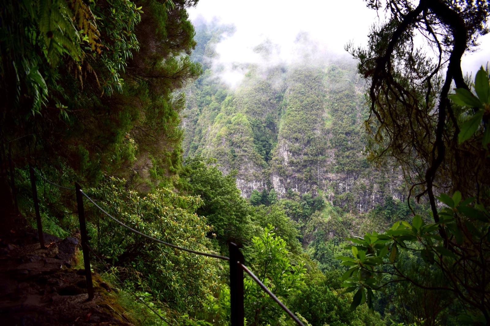 Matkajad Levada do Caldeirão Verde kitsal rajal, mis on raiutud kaljusesse Madeira loorberimetsas